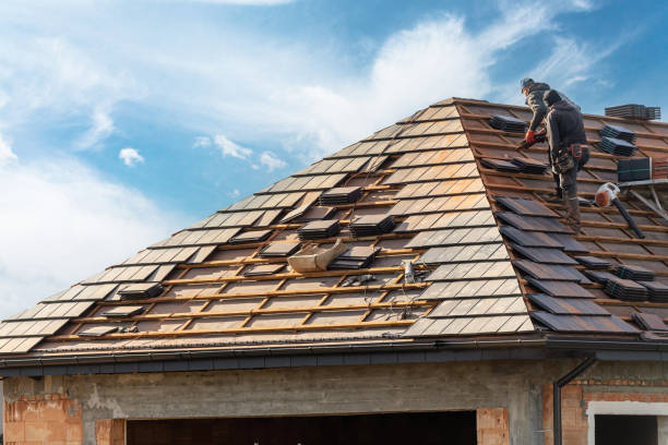Best Roofing for New Construction  in Albuquerque, NM